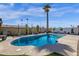 Private backyard swimming pool featuring beautiful blue water, a concrete surround, and desert landscaping at 1715 W Carol Ave, Mesa, AZ 85202