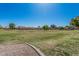 Expansive grassy area surrounded by well-maintained homes, perfect for outdoor activities and enjoying nature at 2348 W Comstock Dr, Chandler, AZ 85224