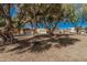 Street view showcasing mature trees and well-maintained homes with garages, creating a welcoming and established neighborhood at 2348 W Comstock Dr, Chandler, AZ 85224