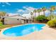 Backyard pool view features a pool, patio, palm trees, and the exterior of the home at 2356 W Catalina Ave, Mesa, AZ 85202