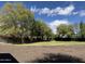 Expansive lawn and landscaping, with a view of the sky above rows of lush trees and greenery at 2904 W Belmont Ave, Phoenix, AZ 85051