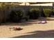 Landscaped backyard with a cornhole game, offering a fun and entertaining outdoor space at 4617 E La Puente Ave, Phoenix, AZ 85044