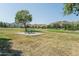 Lush green space with picnic tables and scenic mountain views for outdoor relaxation at 4617 E La Puente Ave, Phoenix, AZ 85044