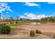 Scenic view of the lush green golf course with mature trees and water features at 13207 W Santa Ynez Dr, Sun City West, AZ 85375