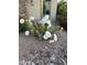 Beautiful desert landscaping featuring a flowering cactus near the front of this home at 14906 W Luna N Dr, Litchfield Park, AZ 85340