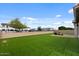 Expansive backyard featuring lush green lawn and a cozy fire pit area for outdoor entertaining and relaxation at 19372 E Timberline Rd, Queen Creek, AZ 85142