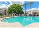 Beautiful community pool lined with lush landscaping and shade at 3302 N 7Th St # 108, Phoenix, AZ 85014