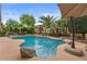 Landscaped backyard featuring a sparkling pool and mature palm trees, creating a serene atmosphere at 4515 E Rakestraw Ln, Gilbert, AZ 85298