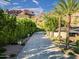 Long driveway leading to the property, lined with mature trees and manicured landscaping, providing a private entry at 5040 N Arcadia Dr, Phoenix, AZ 85018