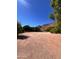 Expansive desert land with mountain views, mature trees, and brilliant blue sky at 5040 N Arcadia Dr, Phoenix, AZ 85018