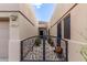 Inviting front entrance featuring a decorative wrought iron gate and landscaped walkway to the front door at 6181 E Brilliant Sky Dr, Scottsdale, AZ 85266