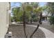 Backyard landscape featuring a brick pathway and mature palm trees and shrubbery at 15948 W Sheila Ln, Goodyear, AZ 85395