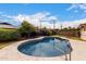 Backyard pool surrounded by desert landscaping, including an orange tree and beautiful Arizona sunshine at 4249 E Mitchell Dr, Phoenix, AZ 85018