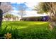 Expansive backyard featuring a lush lawn, mature trees, and a privacy fence with artistic mural at 4945 E Shapinsay Dr, San Tan Valley, AZ 85140