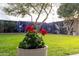 Backyard featuring a striking mural on the privacy wall behind a beautiful flowering plant at 4945 E Shapinsay Dr, San Tan Valley, AZ 85140