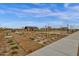 Scenic community park with walking paths and open spaces, creating a welcoming environment for residents to enjoy nature at 6790 S Springs Pl, Chandler, AZ 85249