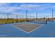 Close-up of a community pickleball court highlighting its excellent condition and ready-to-play surface at 6790 S Springs Pl, Chandler, AZ 85249