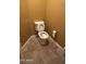 Close-up of a standard toilet in a compact, yellow painted, bathroom at 7511 S 45Th Dr, Laveen, AZ 85339