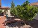 Backyard features a rock garden with bridge, mature citrus trees, and patio at 8804 E Sunnyside Dr, Scottsdale, AZ 85260