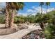 Beautiful backyard landscaping with a stone bridge, palm trees and a seating area at 11101 W Sieno Pl, Avondale, AZ 85392