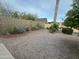 Attractive backyard area with gravel landscaping, cacti, trees and block wall at 1143 S 96Th St, Mesa, AZ 85208