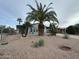 Charming single-story home with xeriscaping featuring rocks, cacti, and several palm trees at 1143 S 96Th St, Mesa, AZ 85208