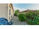 A cozy side yard featuring gravel, desert landscaping, and a partial view of the neighbor's roof at 15430 W Sells Dr, Goodyear, AZ 85395
