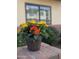 Close-up of outdoor potted flowers adding a touch of beauty to the home's exterior at 170 E Guadalupe Rd # 154, Gilbert, AZ 85234