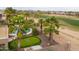 The in-ground pool and backyard putting green are surrounded by mature palm trees at 22139 N O Sullivan Dr, Maricopa, AZ 85138