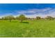 Expansive green space with mature trees, perfect for recreation and community events at 3423 E Crescent Way, Gilbert, AZ 85298