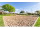Community sand volleyball court with green lawns and mature shade trees at 3439 E Shannon St, Gilbert, AZ 85295