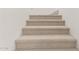 Carpeted stairway with neutral tones, providing a safe and comfortable transition between floors at 4237 E Sierra Madre Ave, Gilbert, AZ 85296