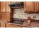 Modern kitchen cooktop features elegant countertops and stainless steel appliances and cabinetry at 4413 S Tigre Del Mar Dr, Gold Canyon, AZ 85118