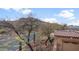 Neighborhood street view featuring desert landscaping and mountain views in background at 4413 S Tigre Del Mar Dr, Gold Canyon, AZ 85118