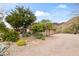 Desert home with a gravel driveway and desert landscaping at 6340 N 34Th Pl, Paradise Valley, AZ 85253