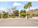 Beautiful home with desert landscaping, palm trees, and mountain views at 6340 N 34Th Pl, Paradise Valley, AZ 85253