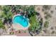 Aerial view of a sparkling pool surrounded by desert landscaping and manicured green lawn at 6340 N 34Th Pl, Paradise Valley, AZ 85253