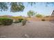 Large xeriscaped backyard features desert landscaping and wrought iron fencing at 10468 E Raintree Dr, Scottsdale, AZ 85255