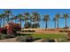 Beautifully landscaped entrance sign for The Grand community, set against a backdrop of palm trees and lush greenery at 16927 W Desert Blossom Way, Surprise, AZ 85387