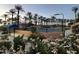 Tennis court surrounded by lush landscaping, blooming flowers, and palm trees at twilight at 16927 W Desert Blossom Way, Surprise, AZ 85387