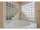 Bright soaking tub surrounded by frosted glass block windows at 2535 N Pinnule Cir, Mesa, AZ 85215