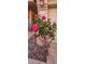 Charming home exterior with a rose bush near the address, adding curb appeal and a welcoming touch to the property at 2535 N Pinnule Cir, Mesa, AZ 85215