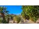Well-maintained front yard with mature palm trees and citrus trees, adding curb appeal at 2535 N Pinnule Cir, Mesa, AZ 85215