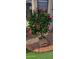 Well-manicured rose bush by the corner of the house, adding a touch of elegance and natural beauty to the property at 2535 N Pinnule Cir, Mesa, AZ 85215