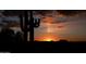 Beautiful silhouette of a Saguaro cactus against a vibrant sunset in the Arizona desert at 30556 N Sage Dr, Peoria, AZ 85383