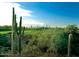 Scenic view of the golf course with native desert vegetation and blue skies at 30556 N Sage Dr, Peoria, AZ 85383