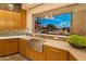 Bright kitchen featuring modern countertops, a stainless steel sink, and a green potted plant at 30556 N Sage Dr, Peoria, AZ 85383