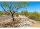Community walking path in a desert setting with mountains in the background at 10356 E Meandering Trail Ln, Gold Canyon, AZ 85118