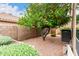 Private backyard with a mature citrus tree providing shade and a gravel landscape at 1567 S Western Skies Dr, Gilbert, AZ 85296