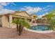 Beautiful backyard pool with palm trees, patio, and desert landscaping at 19008 N Lousandra Dr, Maricopa, AZ 85138